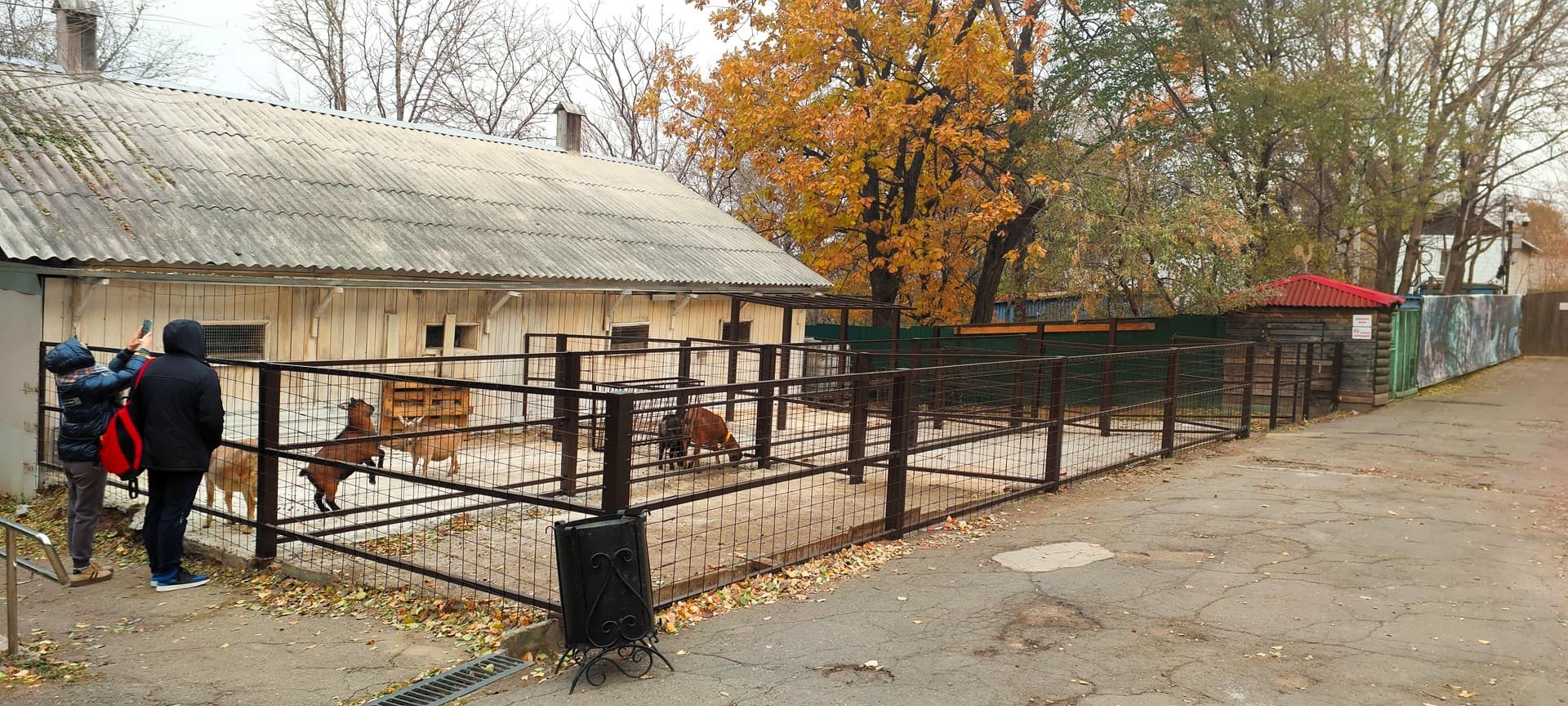 Карта зоосада — точка маршрута «Зоосад Приамурский им. В. П. Сысоева»